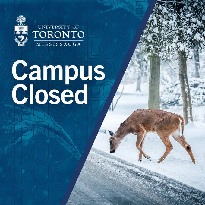 Campus Closed 
Imagery of snow and a deer on UTM campus