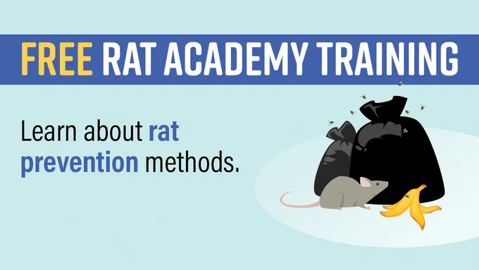 Illustration of a rat near two trash bags and a banana peel. Text reads: Free Rat Academy Training. Learn about rat prevention methods.