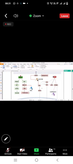 Pathway analysis