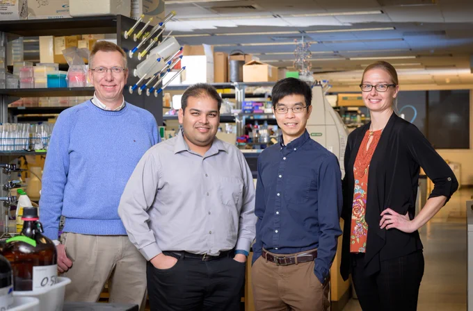 Illinois researchers Wilfred van der Donk, Angad Mehta, Nicholas Wu, and Beth Stadtmueller stand posed in a row, smiling for the camera. They are in a lab. 