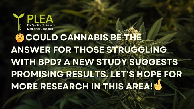 A green cannabis plant in full bloom against a green background. The PLEA logo is in the top left corner. Centered in white text, a quote reads 'Could cannabis be the answer for those struggling with BPD? A new study suggests promising results. Let's hope for more research in this area!'