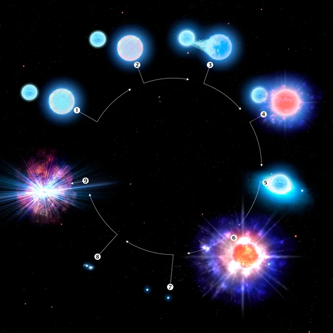 Una infografía que ilustra el sistema estelar CPD-29 2176 evolucionando hacia una kilonova.