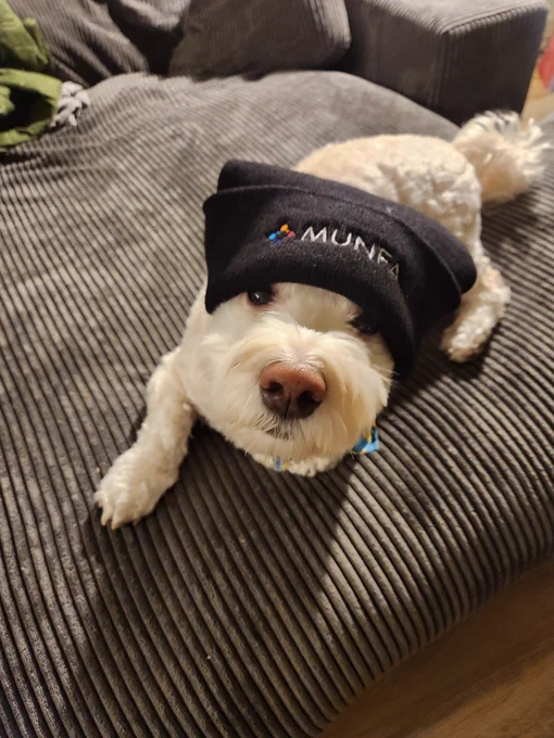 A soft little white dog who is very perturbed that a MUNFA beanie is falling over his button eyes.