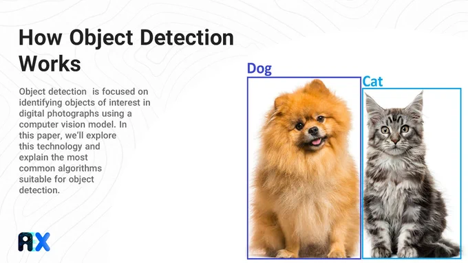 How Object Detection Works?