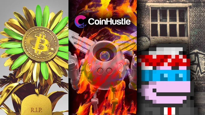 The article cover image features 3 NFT collections:
1. BTC Flowers by Ludo (a rare triple gold flower appears in the image)
2. Poked bots by Jon Ball of Pokedstudio (a common bot appears being burned because 1500 bots from the collection will be burned to make way for 500 new Gen2 bots)
3. Infinity Monkeys NFTs are a hot 10k PfP collection that is still very affordable 
The CoinHustle logo appears at the top of the image (DfinityCommunity recently rebranded as CoinHustle - this is the blog where my weekly ICP NFT market update appears)