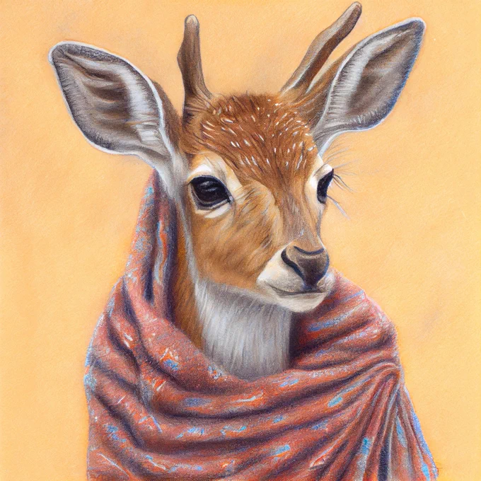 Illustration of a deer wrapped in a blanket