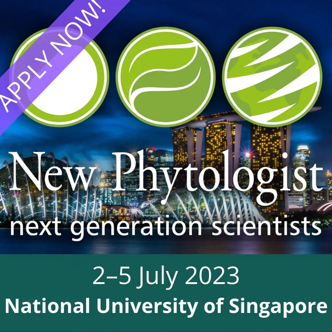 New Phytologist next generation scientists. 2-5 July 2023, National University of Singapore. Night view of Singapore.