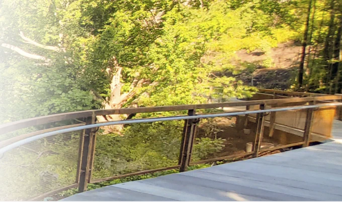 An accessible ramp surrounded by trees, at University of Toronto Scarborough