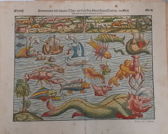 coloured illustration of sea monsters, from Sebastian Munster's Cosmographiae universalis. 1552