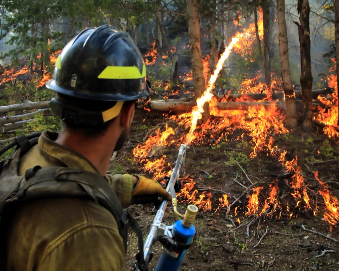 A firefighter uses a Terra Torch during a prescribed fire on a wooded hillside. Prescribed fires help address overgrown understories that can fuel extreme wildfires. The firefighter faces the hill, his back to the camera, aiming the torch up the hill. Flame arcs from the torch between trees. Yellow and orange flames already burn from vegetation along the ground and fallen trees. Photo by Austin Catlin, BLM.