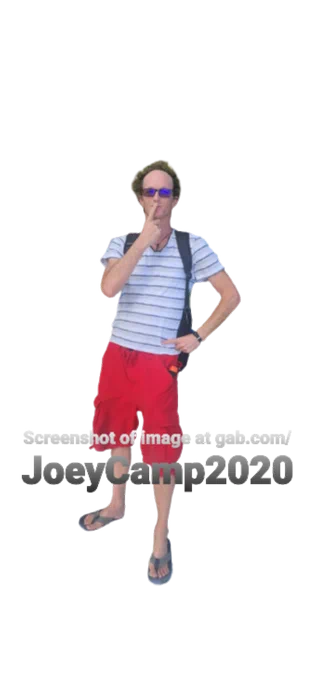 Screenshot of an image at www.gab.com/JoeyCamp2020
