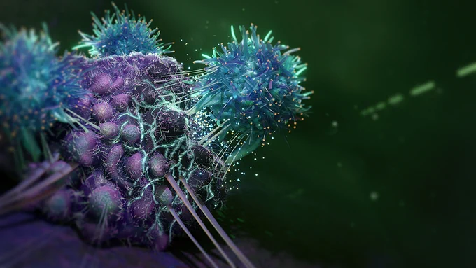 Illustration of CAR T-cells swarming a cancer cell, exposing it to cytotoxic molecules. 