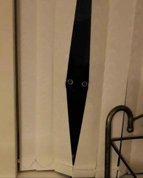 black cat hiding behind window blinds in the dark, only its goggly yellow eyes visible