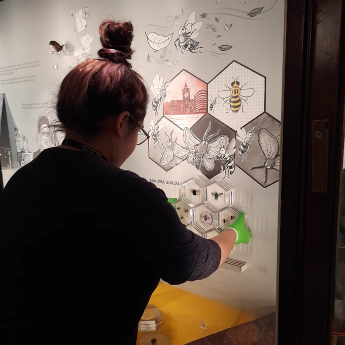 Bees and insects _ Belonging Gallery