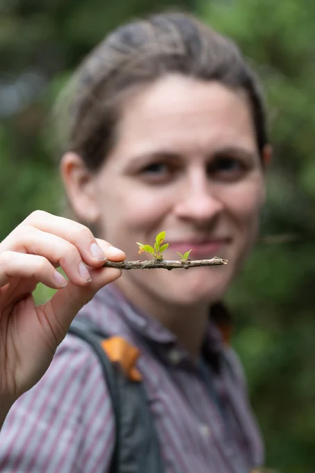Photo of me (Allison) holding up a very tiny orchid (Specklinia sp.) from the Bacchus Nature Reserve in the Atlantic Rainforest, Brazil.  Photo by Lydia Shellien-Walker, 2022, © RBG, Kew 