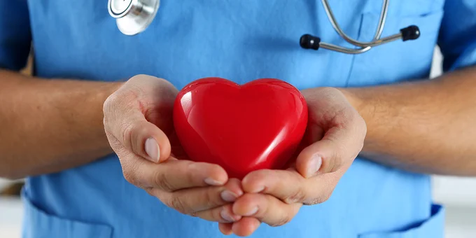 A person in medical scrubs holding a plastic heart.