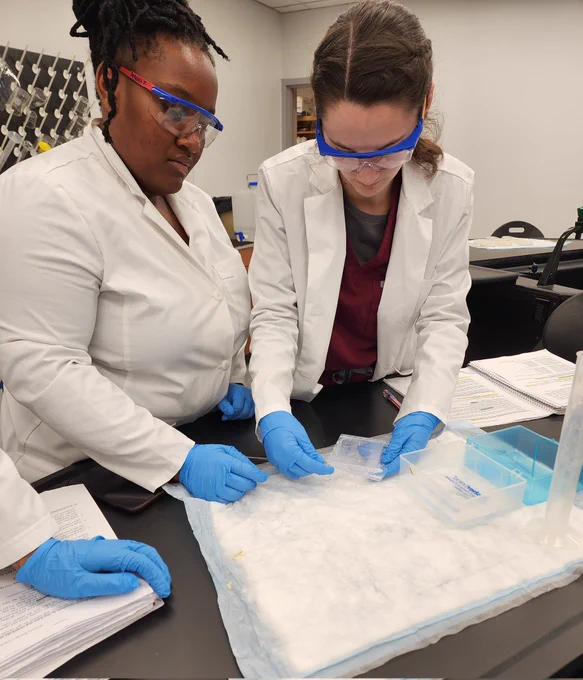 Removing gels before staining (skill needed: very fragile)