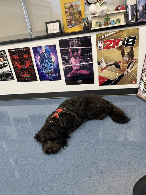 Jersey laying on the floor in Mr. Shore’s classroom.