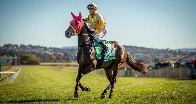 Photo of horse and rider on Tyers Park Racecourse, Bathurst. Photo @racingphotography Janian McMillan