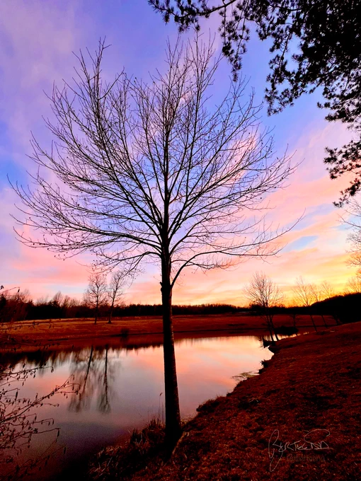 Sunset at spring fed Bob Creek and Mountain Glen Retreat Pond. Just below Jane Ridge on the Cumberland Plateau.