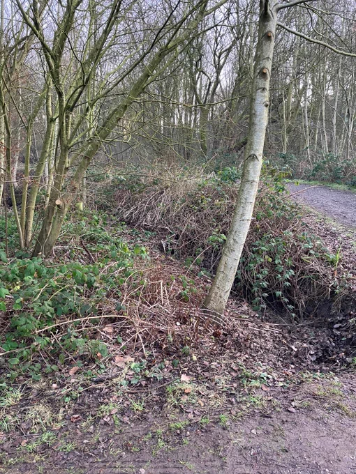 Before our team came along to clear the ditch up