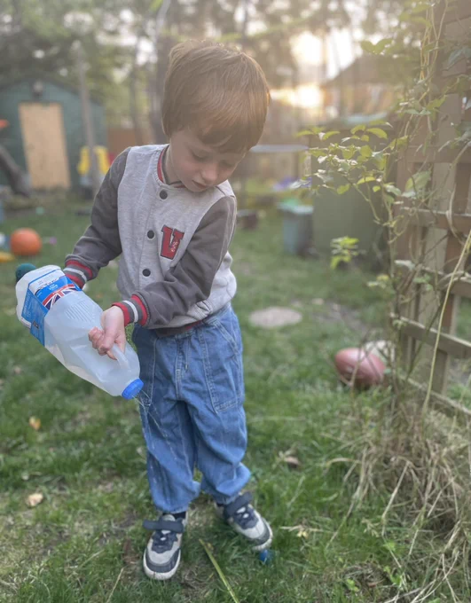 Child in a garden using a milk carton as a watering can. 