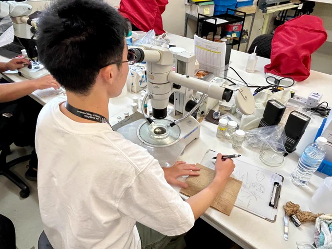 Photo of Mr Taigi Sato using a microscope to observe specimens in the lab, while illustrating aspects of the specimen on paper by hand. 