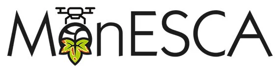 Logo of the MonESCA project
