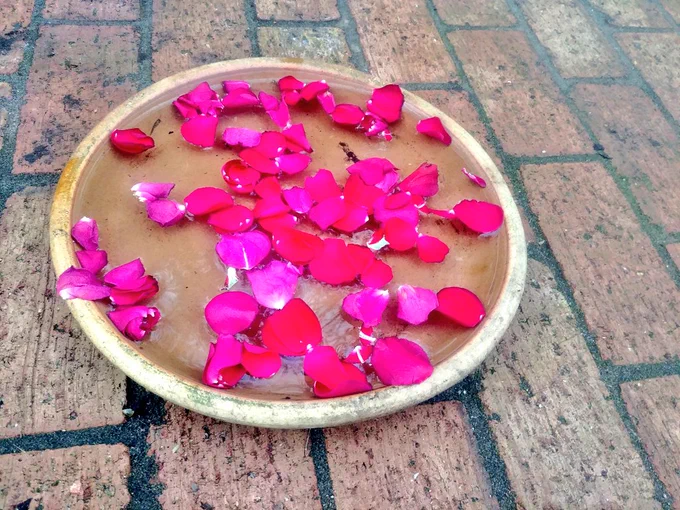 If you are given roses or buy them for yourself and they look droopy in a few days dont throw away... Break them open and enjoy a greeting by your door...