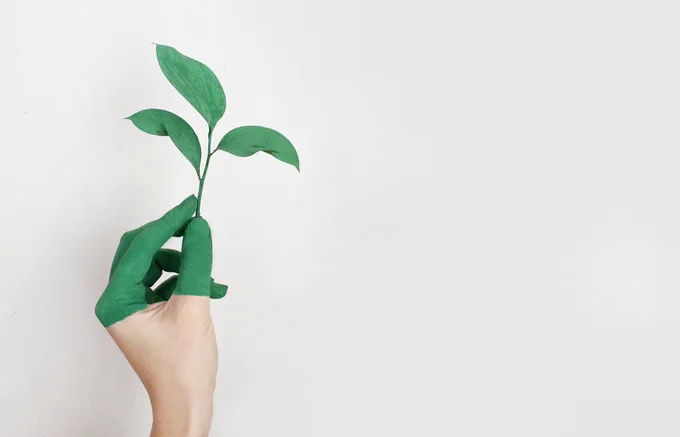 A hand with its fingers painted green holding small plant leaves.