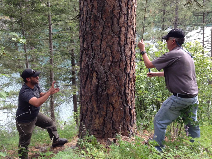 Two USGS scientists prepare to take tree ring cores in the Mission Mountains on the Flathead Indian Reservation.