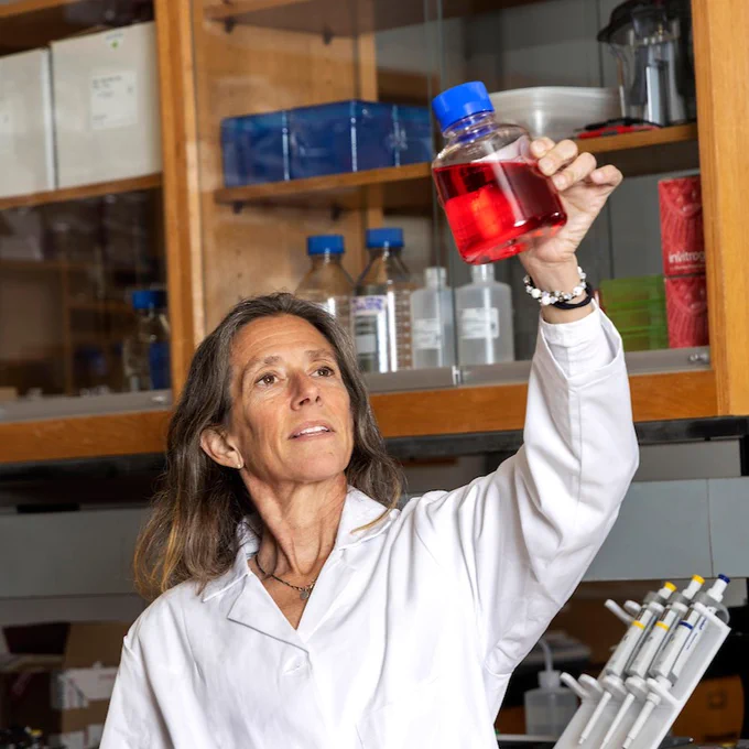  Dr. Johnston, CEO and Co-Founder of NysnoBio, examines cell media.