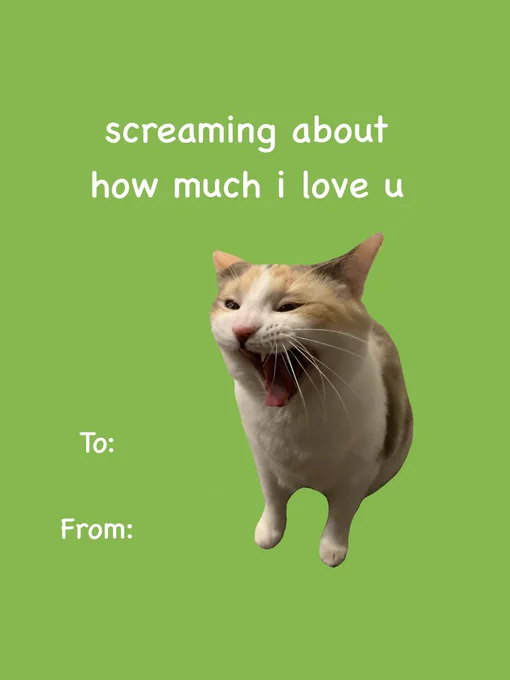 valentine’s day card with a cutout of a screaming ca cat that says screaming about how much I love you