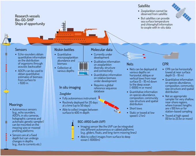 Integrating traditional zooplankton in situ sampling methods and modern sampling techniques (graphic by Stacey McCormack, Visual Knowledge)