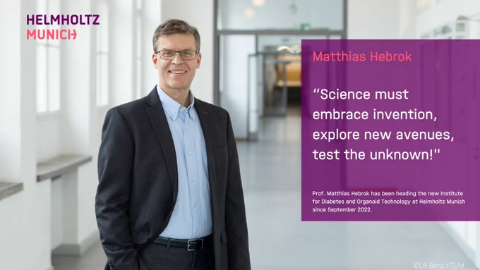 Matthias Hebrok, director of our new Institute for Diabetes & Organoid Technology, focuses on pancreatic organoids.