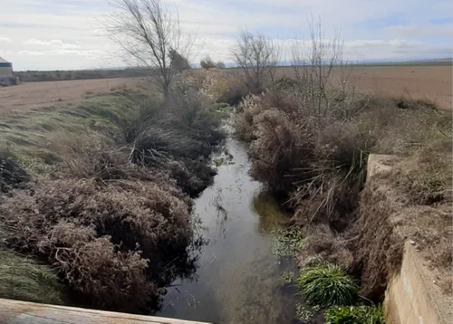 Los trabajos se centran en el tratamiento silvícola para mejorar la vegetación de los márgenes del río y la adecuación morfológica del cauce.