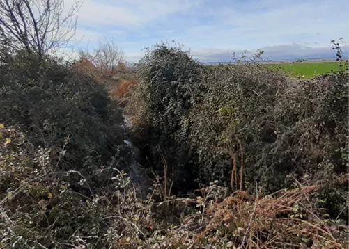 Imagen del cauce del Río Don Juan, en La Herrera (Albacete), antes de la actuación de la Confederación Hidrográfica del Júcar.