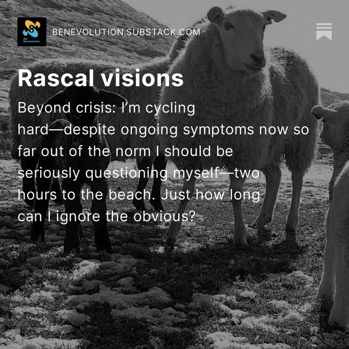 Day 7 and—despite ongoing symptom now so far out of the norm I should really be questioning them hard—I’m cycling to the beach. Doable but a two hour round trip takes double as long. Still, it feels glorious to be in the sun and not on the floor. I am sure this must be good for me—a weekend out and about. Surely by Monday I’ll be past the symptoms and able to work, write and concentrate. They are all things that have been completely impossible for the whole week.