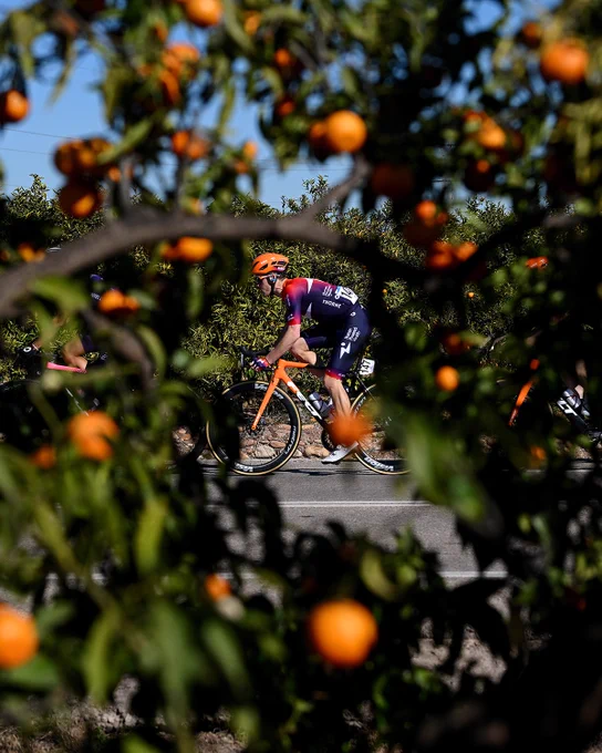 Ben Perry, stage 4 of the Volta a la Comunitat Valenciana.