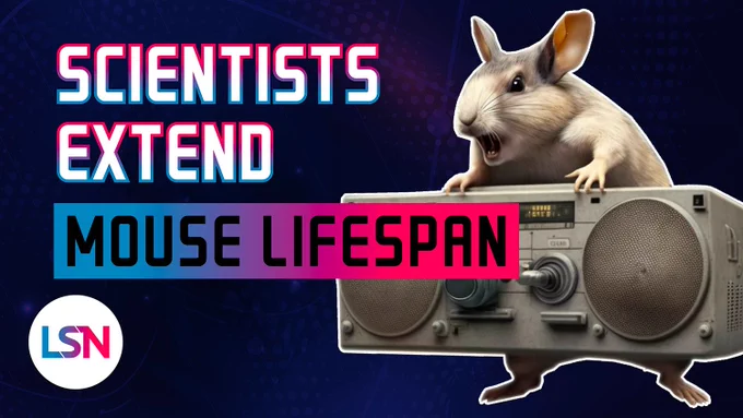 Scientists Extend Mouse Lifespan