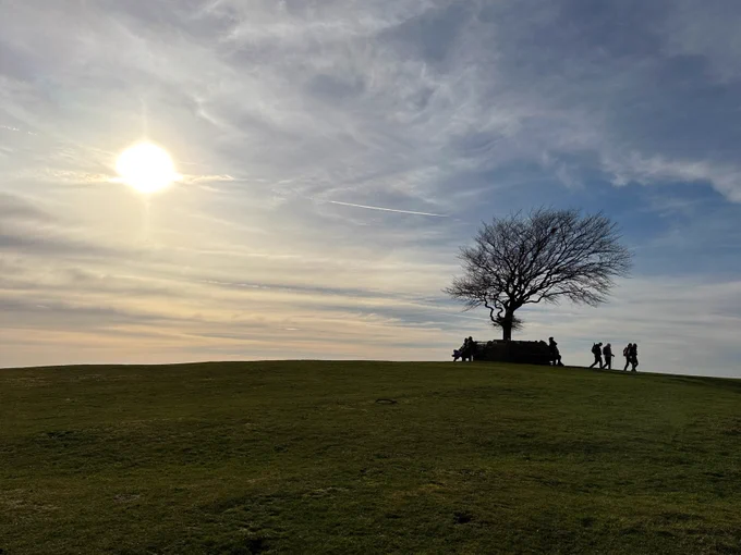 Landscape including single windswept tree on a hill with people sat and stood around, with sun shining above. 