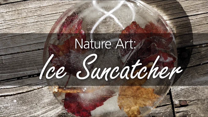 Nature art: ice suncatcher video thumbnail