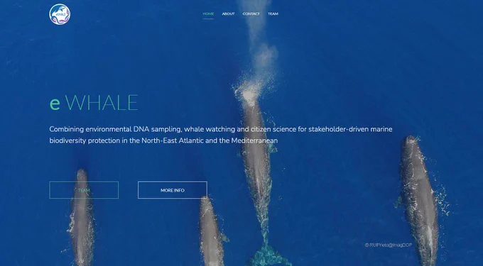 eWHALE landing page