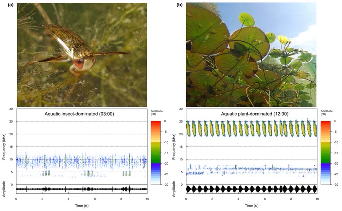 Typical night-time (a) aquatic insect dominated soundscapes, and daytime (b) aquatic plant dominated soundscape. Spectrograms were created with an FFT size 2,048