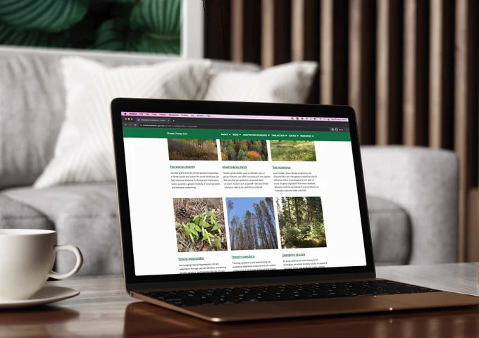 The Climate Change Hub has been launched by Forest Research to support land managers and owners who care for trees and woodlands