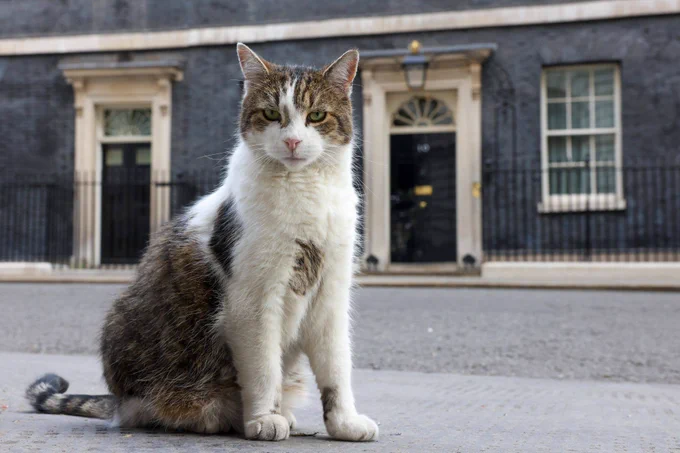 Larry bossing it like a boss on Downing Street
