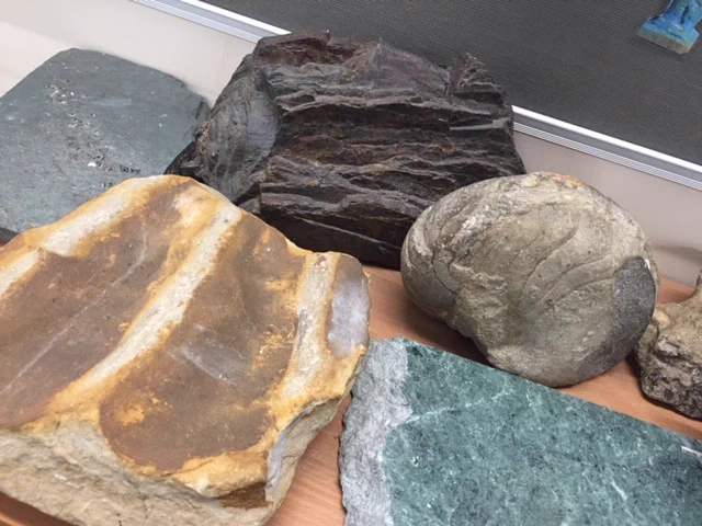Variety of different types of rocks laid out on a table