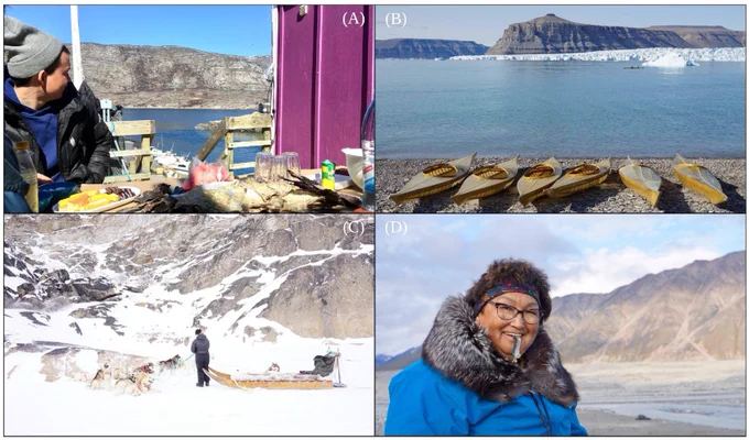 Four-panel figure from paper. Caption: Arctic Indigenous peoples are not separable from the physical, ecological, cultural, societal, and spiritual roles they have in their homelands. Inuit continue to live both within and near formal protected areas, as well as have their livelihoods shaped by conservation initiatives and decisions made at all scales of governance. Many of these places have been actively managed and conserved through use for millennia. (A) hunters take their lunch in the small community of Sarfannguit, situated within the 2018 designated Aasivissuit–Nipisat UNESCO World Heritage Site in Kalaallit Nunaat (Greenland); (B) students line their practice qajait up on the shores of the 2019 designated Tallurutiup Imanga National Marine Conservation Area in Nunavut, Canada, a protected area roughly the size of Iceland that comes with Canadian $54 million dollars in support for Inuit stewardship programs; (C) a young female hunter takes her dogs out on Kangerlussuaq Fjord, Kal