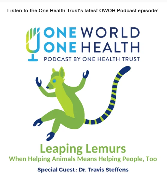 A blue and green graphic promoting a One World One Health podcast by the One Health Trust entitled "Leaping Lemurs; When helping animals means helping people too" with special guest Dr. Travis Steffens. The graphic also features an illustration of a lemur jumping through the air.