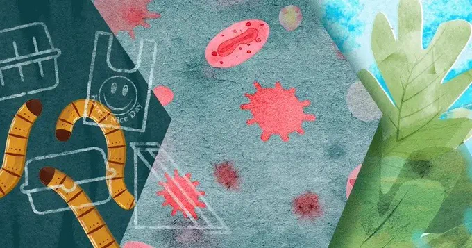 Illustration of yellow mealworms, microbes, and leaves